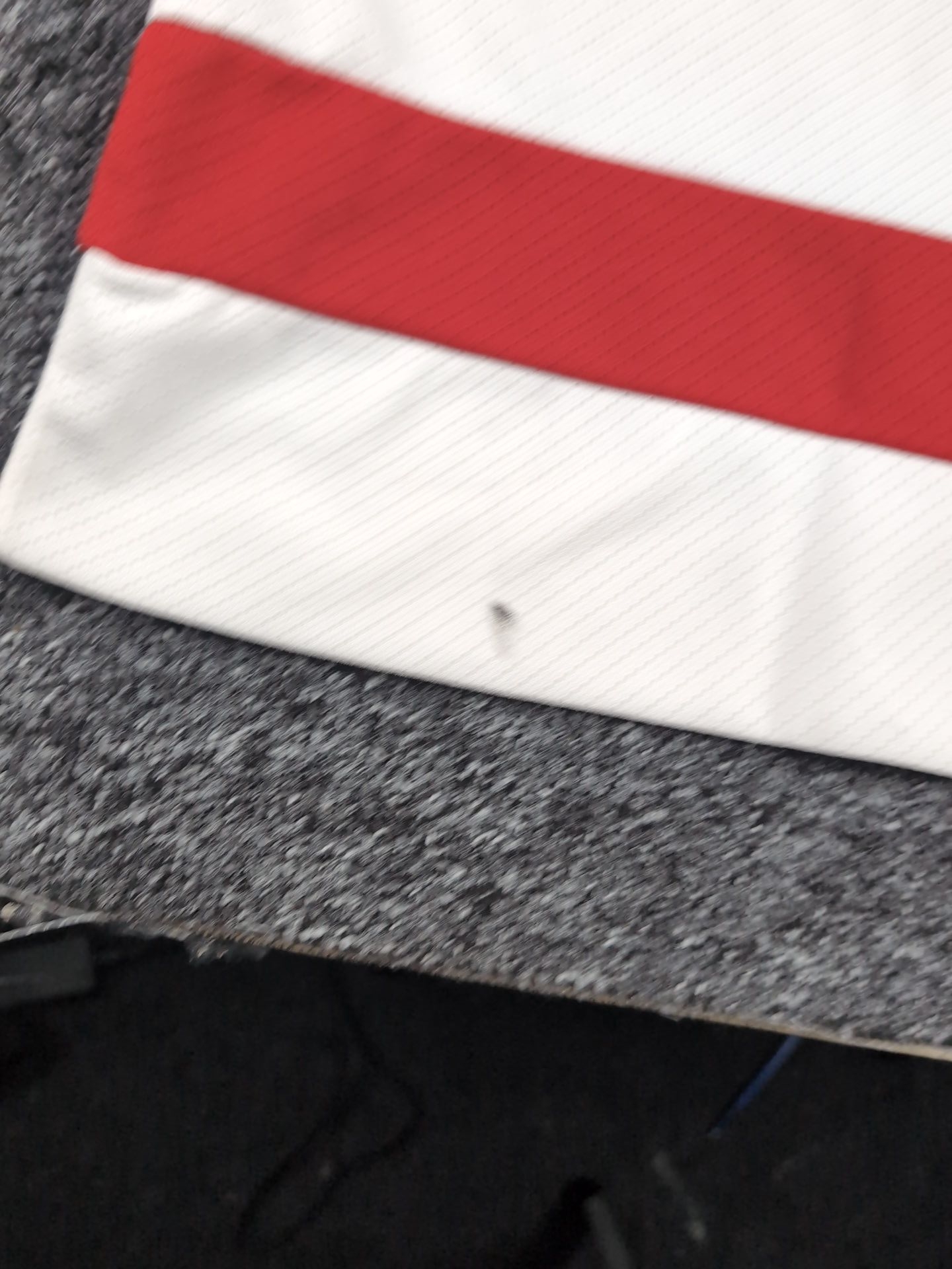 Ccm XXL - zdjęcie 10