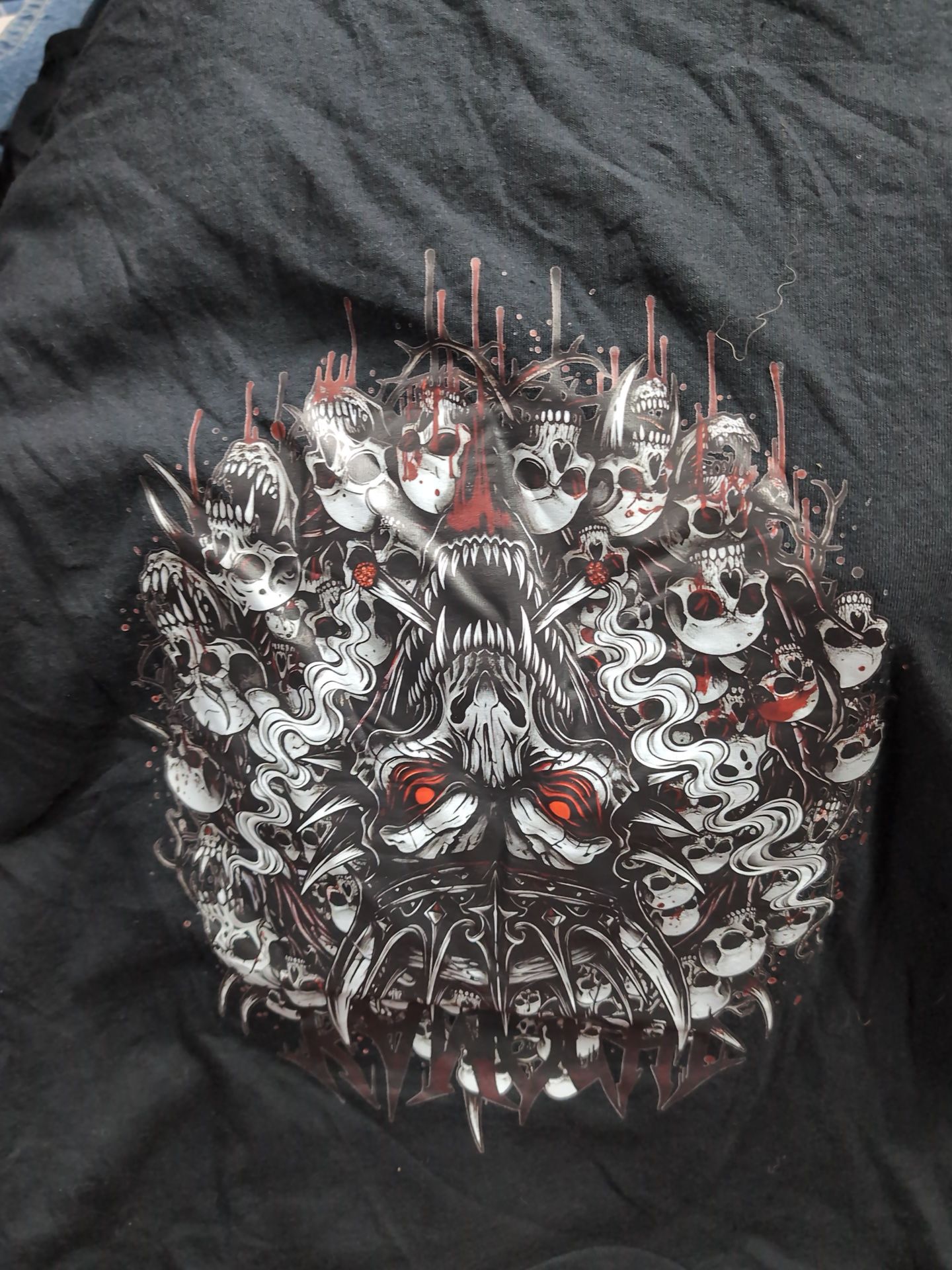 Kamochi L - zdjęcie 3