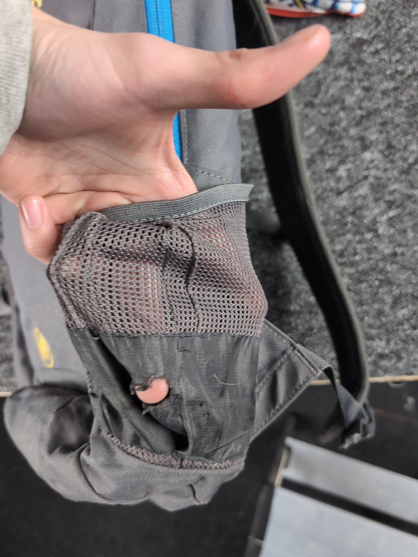 mammut Uniwersalny - zdjęcie 4