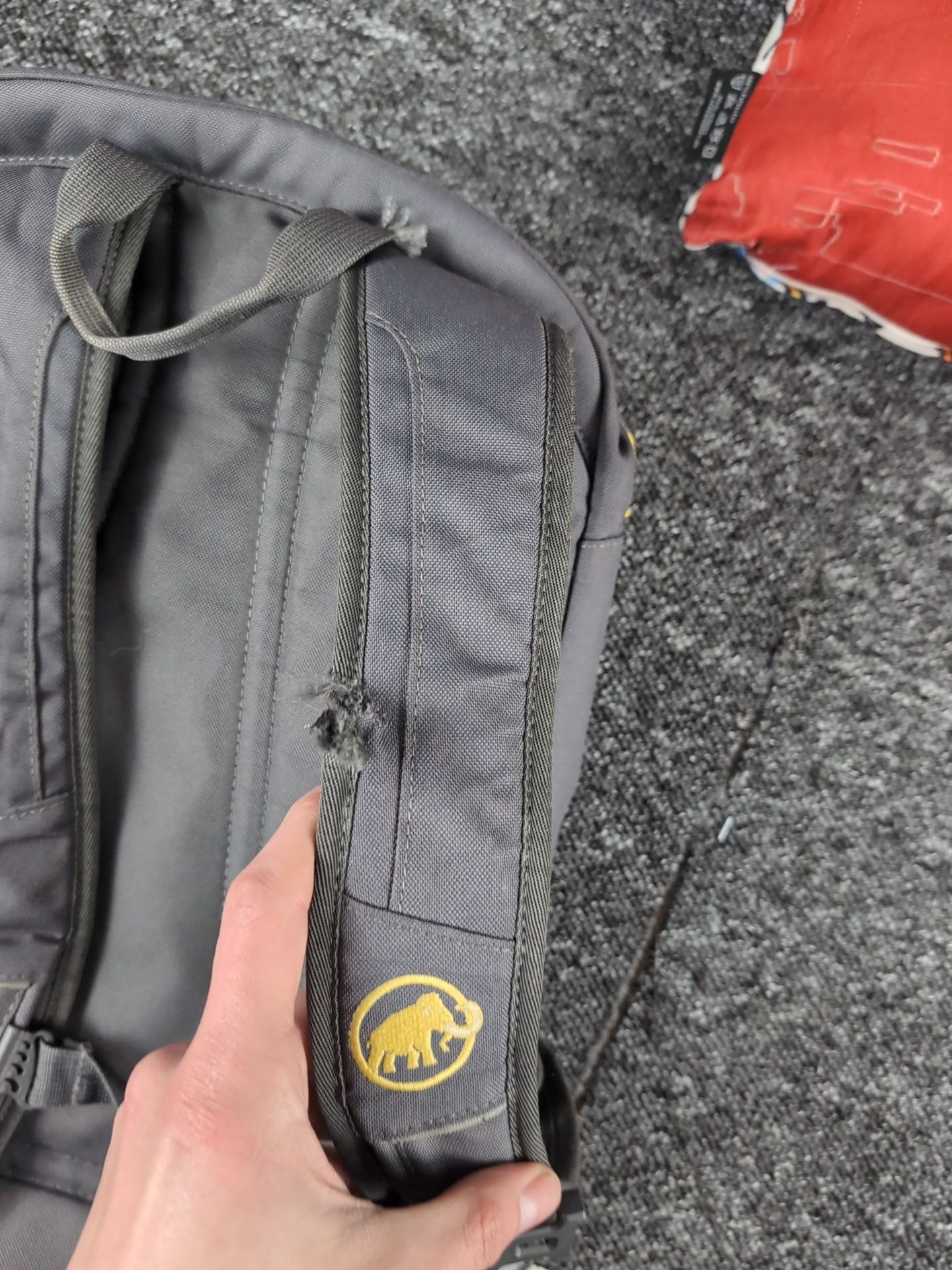 mammut Uniwersalny - zdjęcie 5